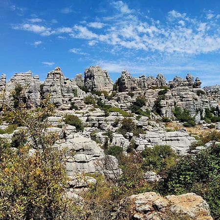 Cactus Hill - Safari Tents - Caminito Del Rey Алора Екстериор снимка