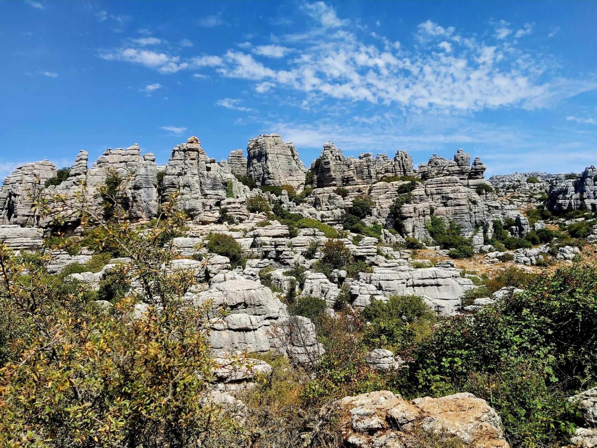 Cactus Hill - Safari Tents - Caminito Del Rey Алора Екстериор снимка